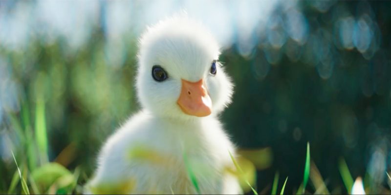 AD OF THE DAY: Disney pulls on heartstrings with tale of adorable animated  duck | Famous Campaigns